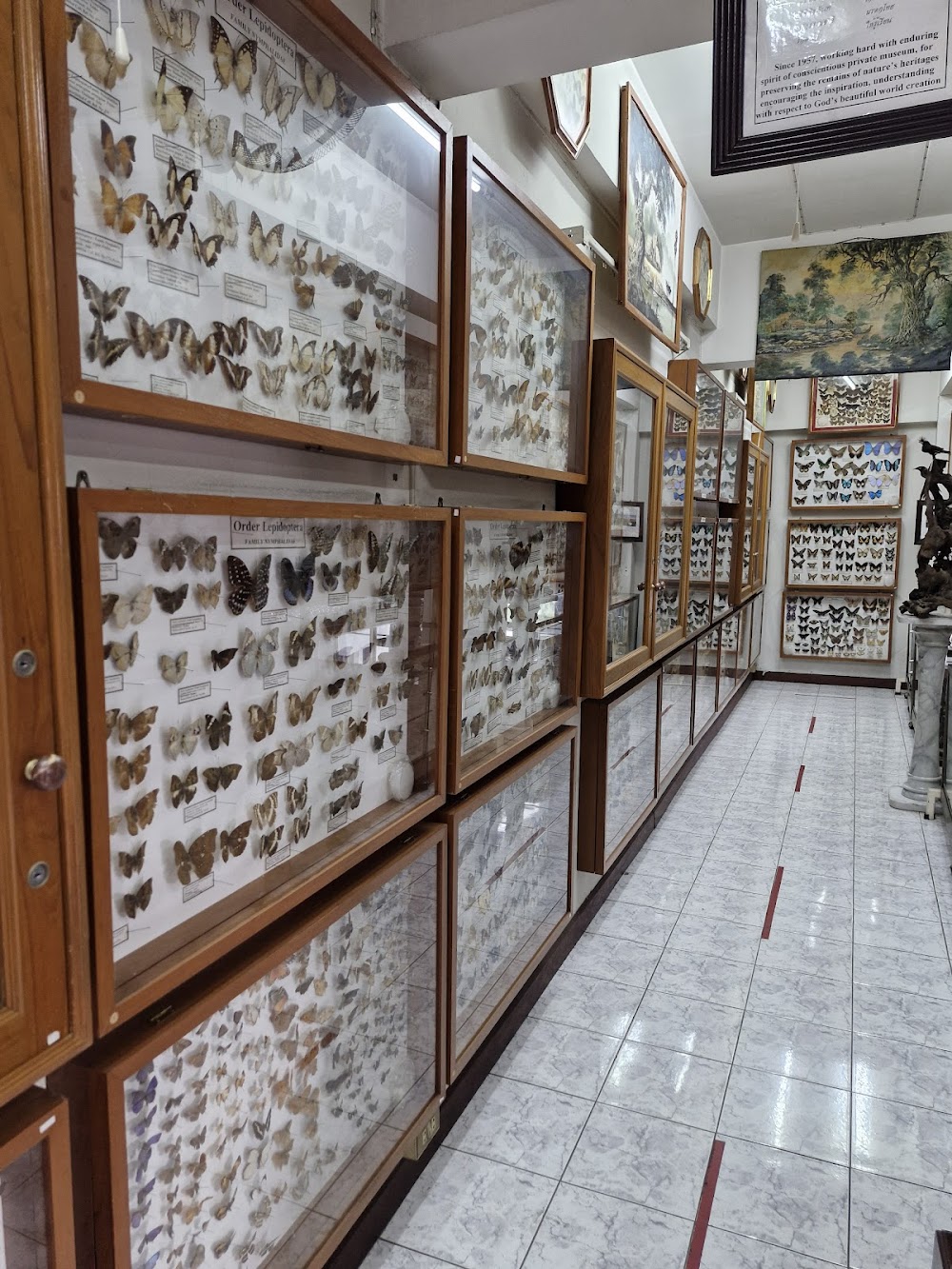 Museum of World Insects and Natural Wonders