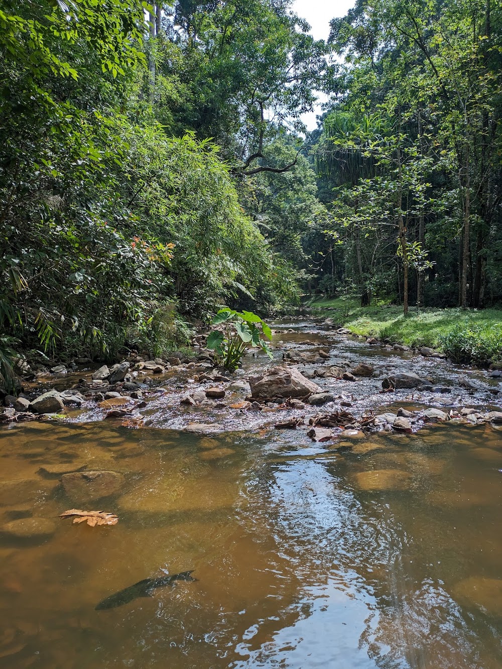 Namtok Yong National Park