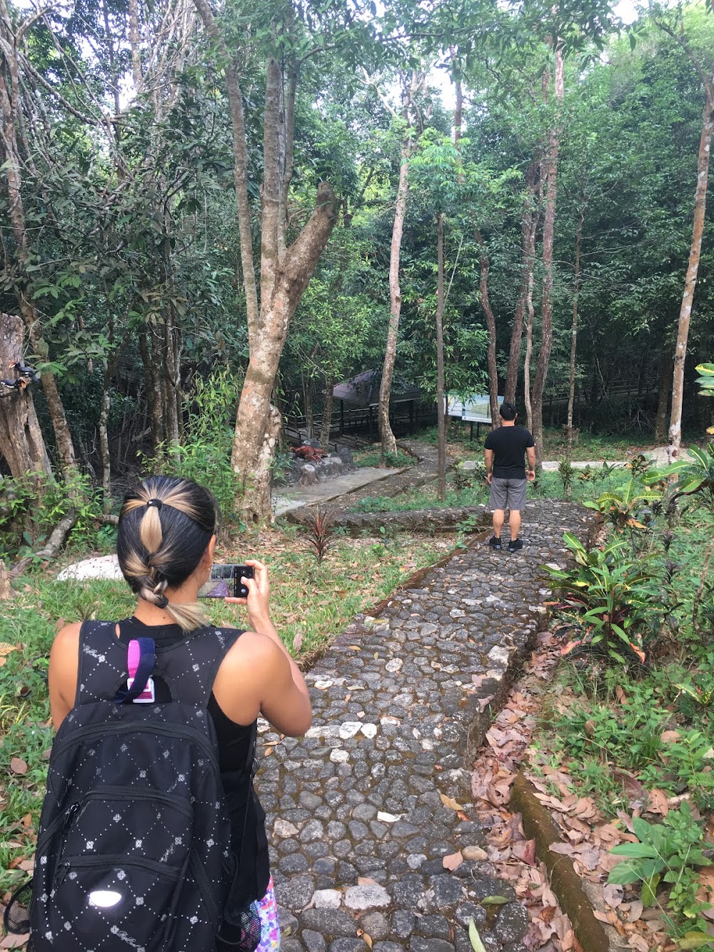 Ngao Mangrove Forest Research Centre