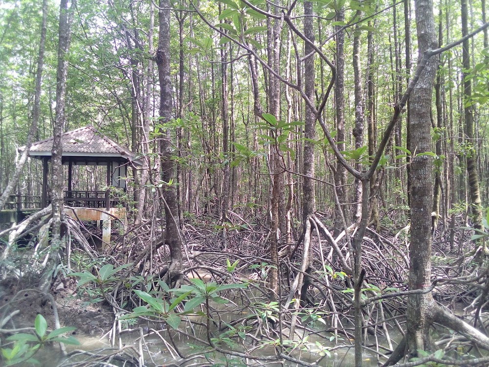 Ngao Mangrove Forest Research Centre