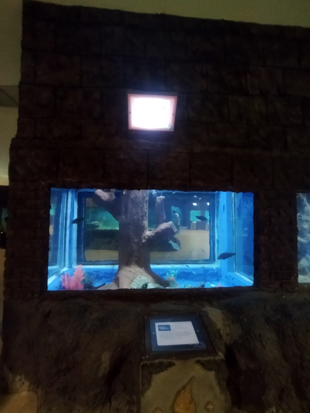 Nong Khai Aquarium