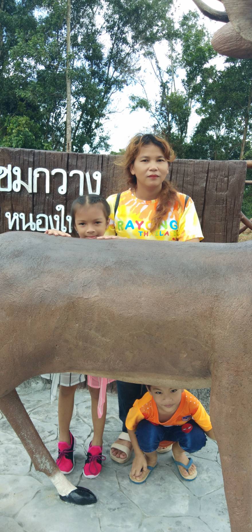 Nong Yai Tang Chang Public Park