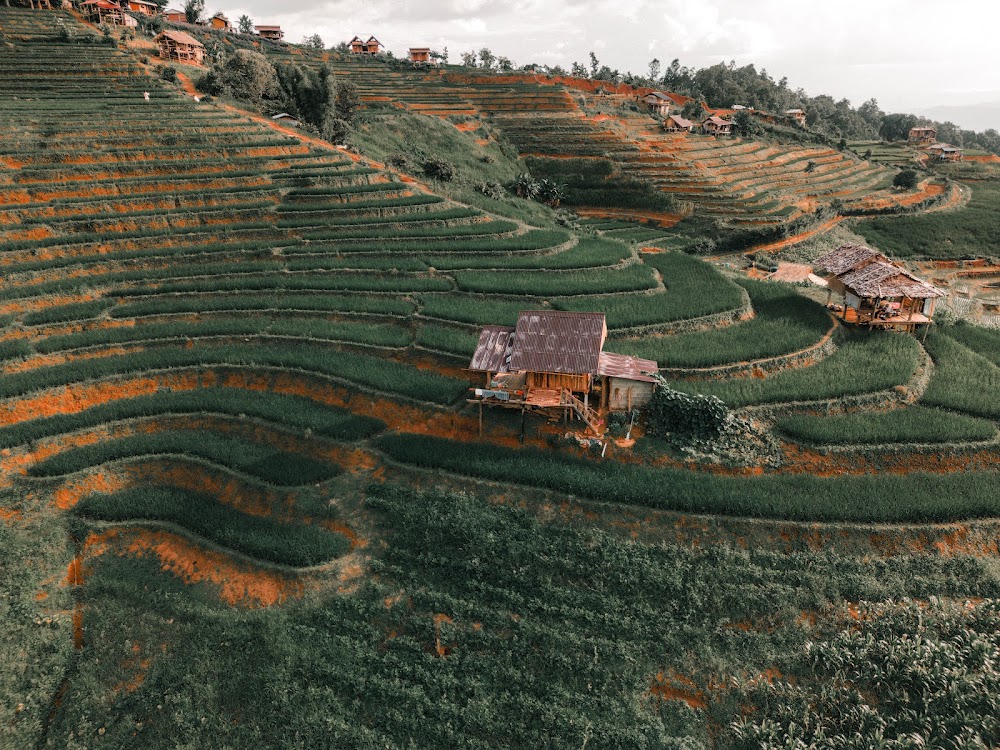 Pa Pong Pieng