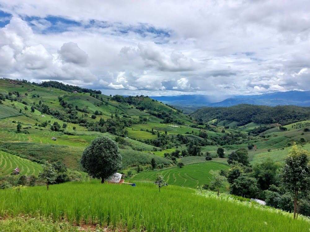 Pa Pong Pieng