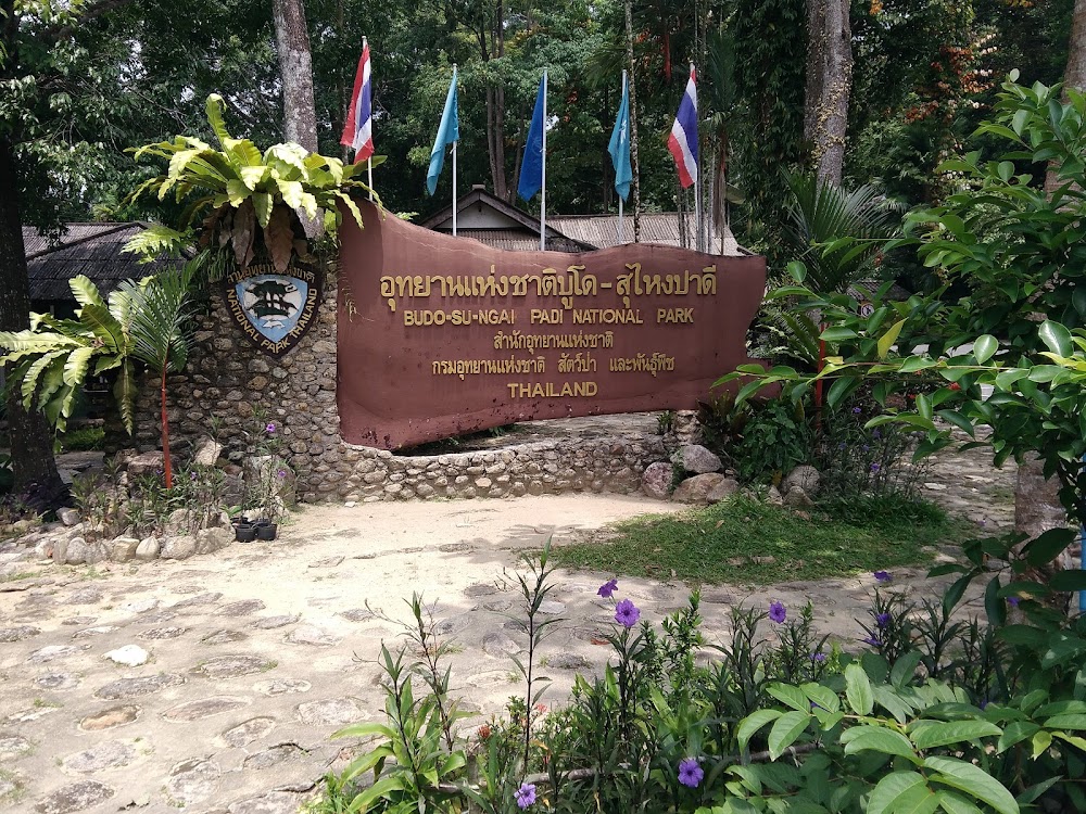Pacho Waterfall