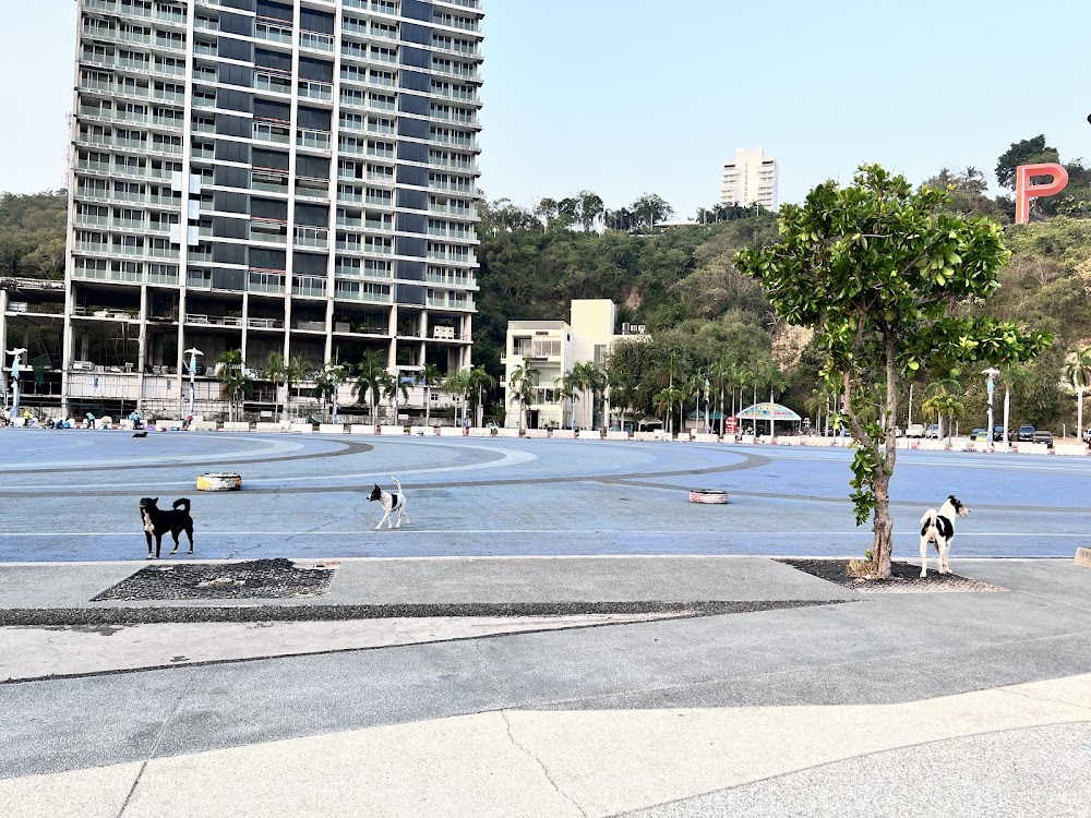 Pattaya City Sign – Viewpoint