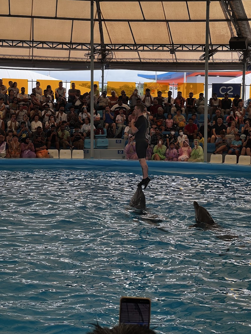 Pattaya Dolphinarium