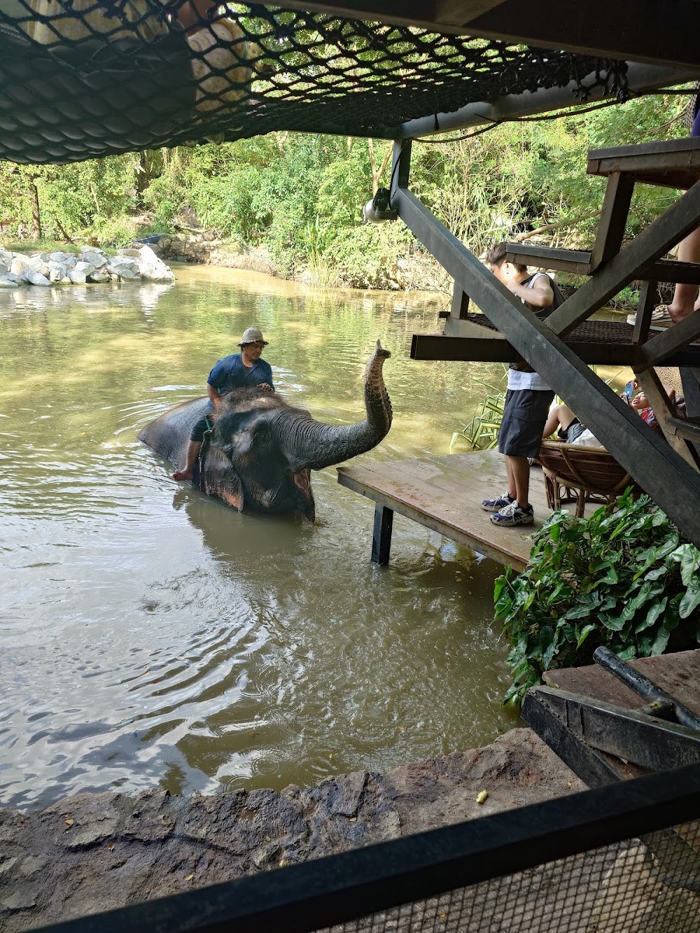 Pattaya Elephant Village