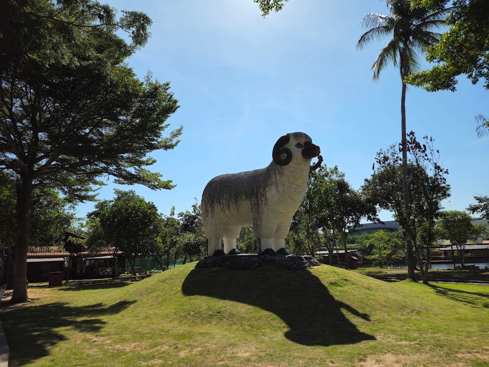 Pattaya Sheep Farm