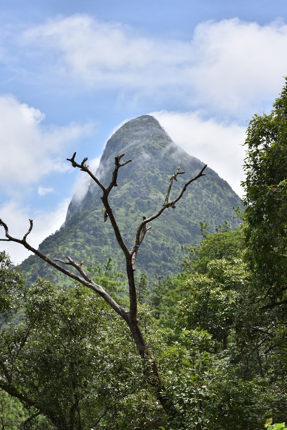 Pha Daeng National Park