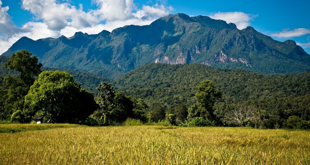Pha Daeng National Park