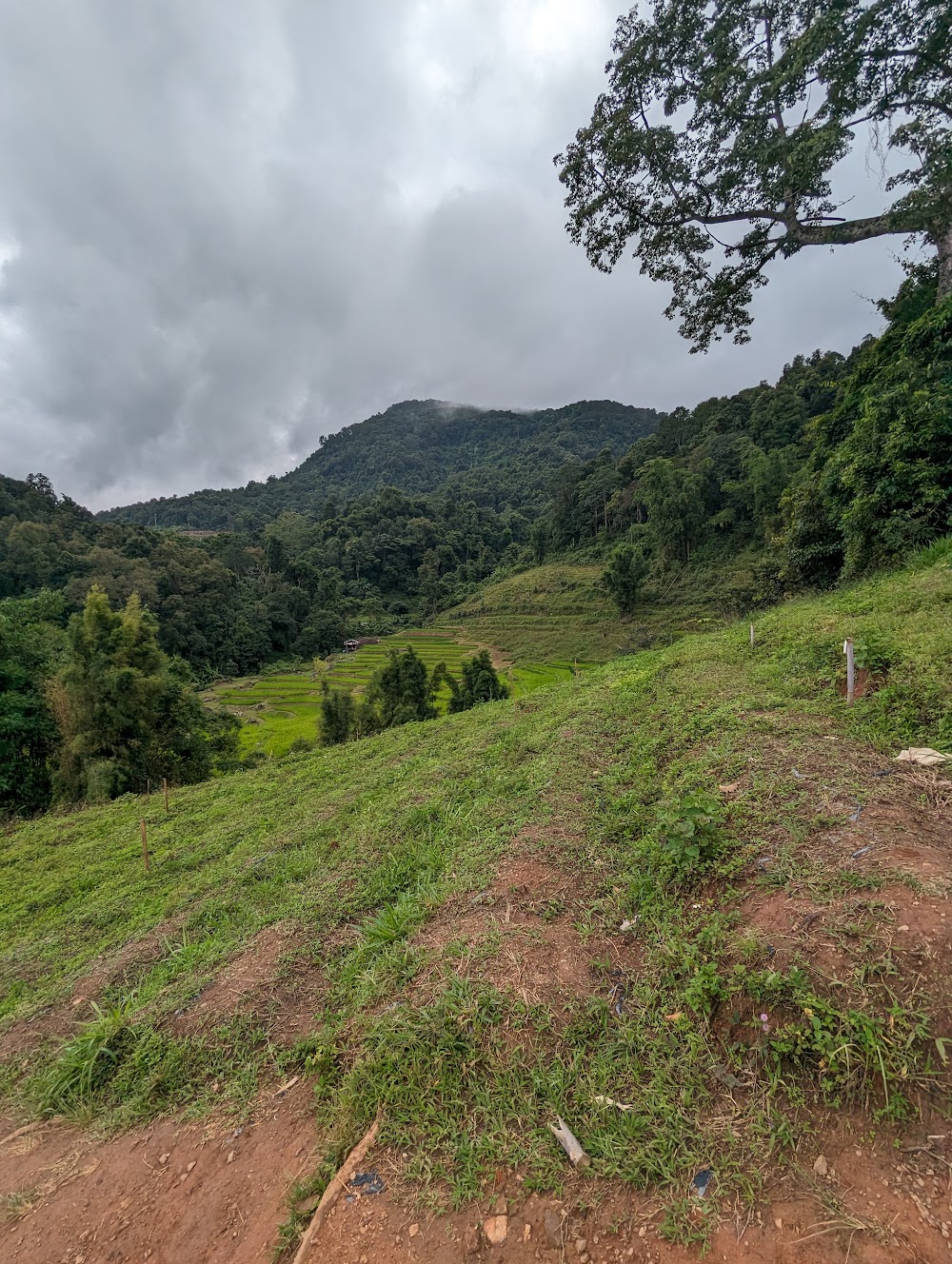 Pha Daeng National Park