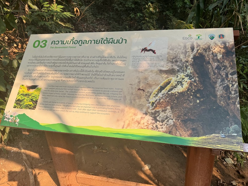 Pha Dok Seaw Waterfall