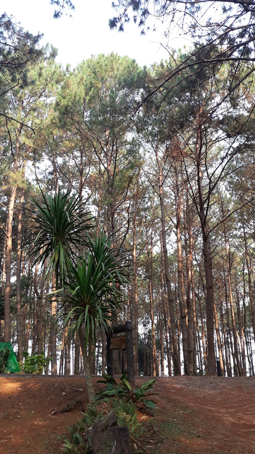Phu Hin Rongka National Park