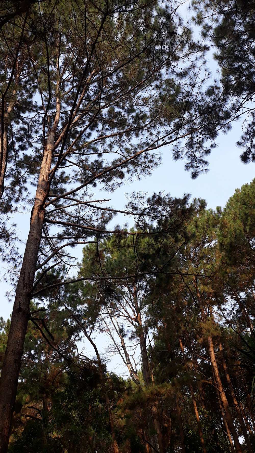 Phu Hin Rongka National Park
