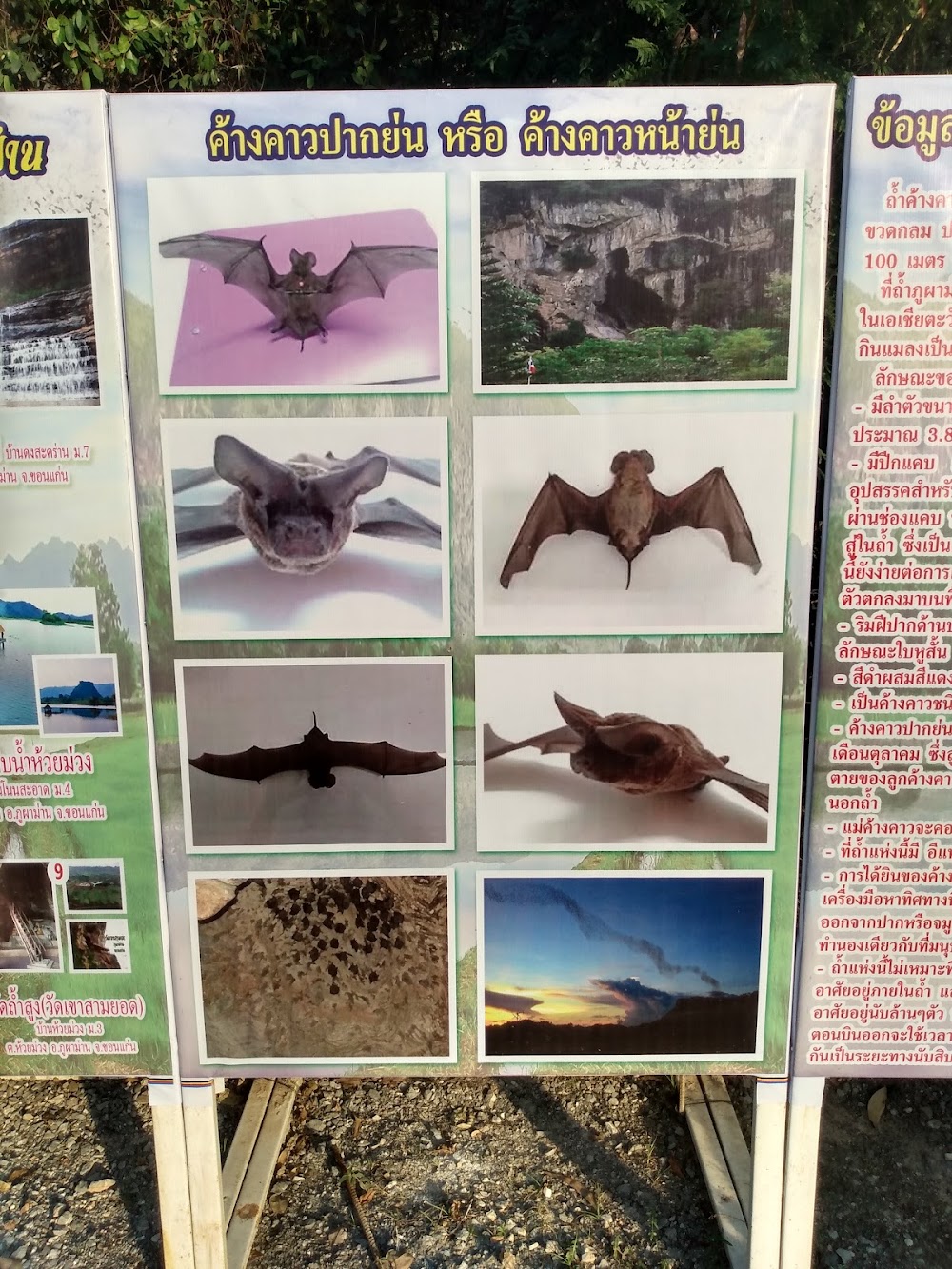 Phu Pha Man Bats Cave