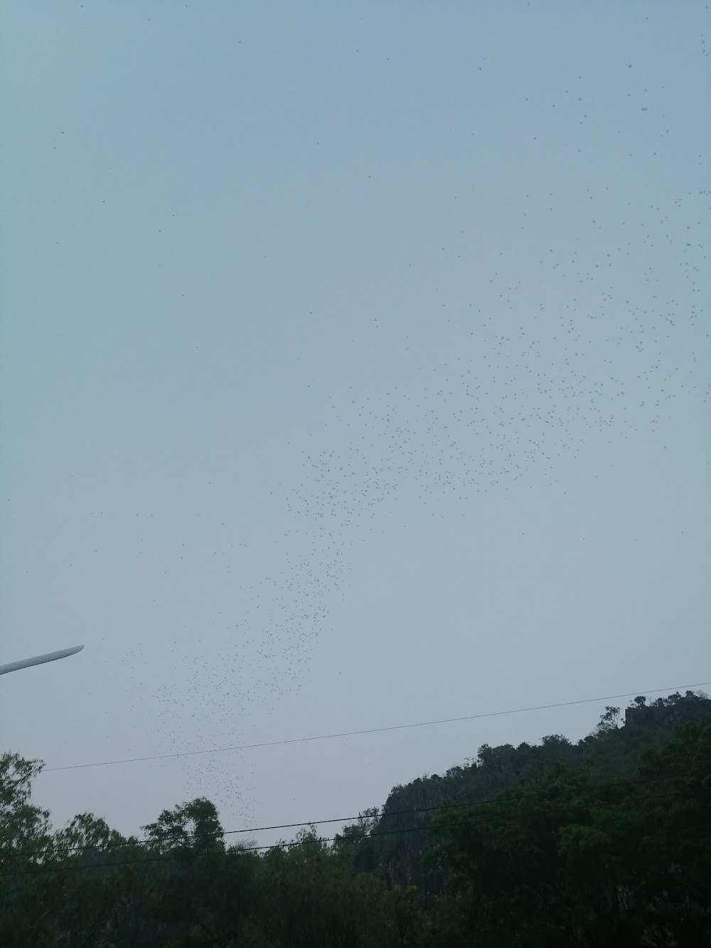Phu Pha Man Bats Cave