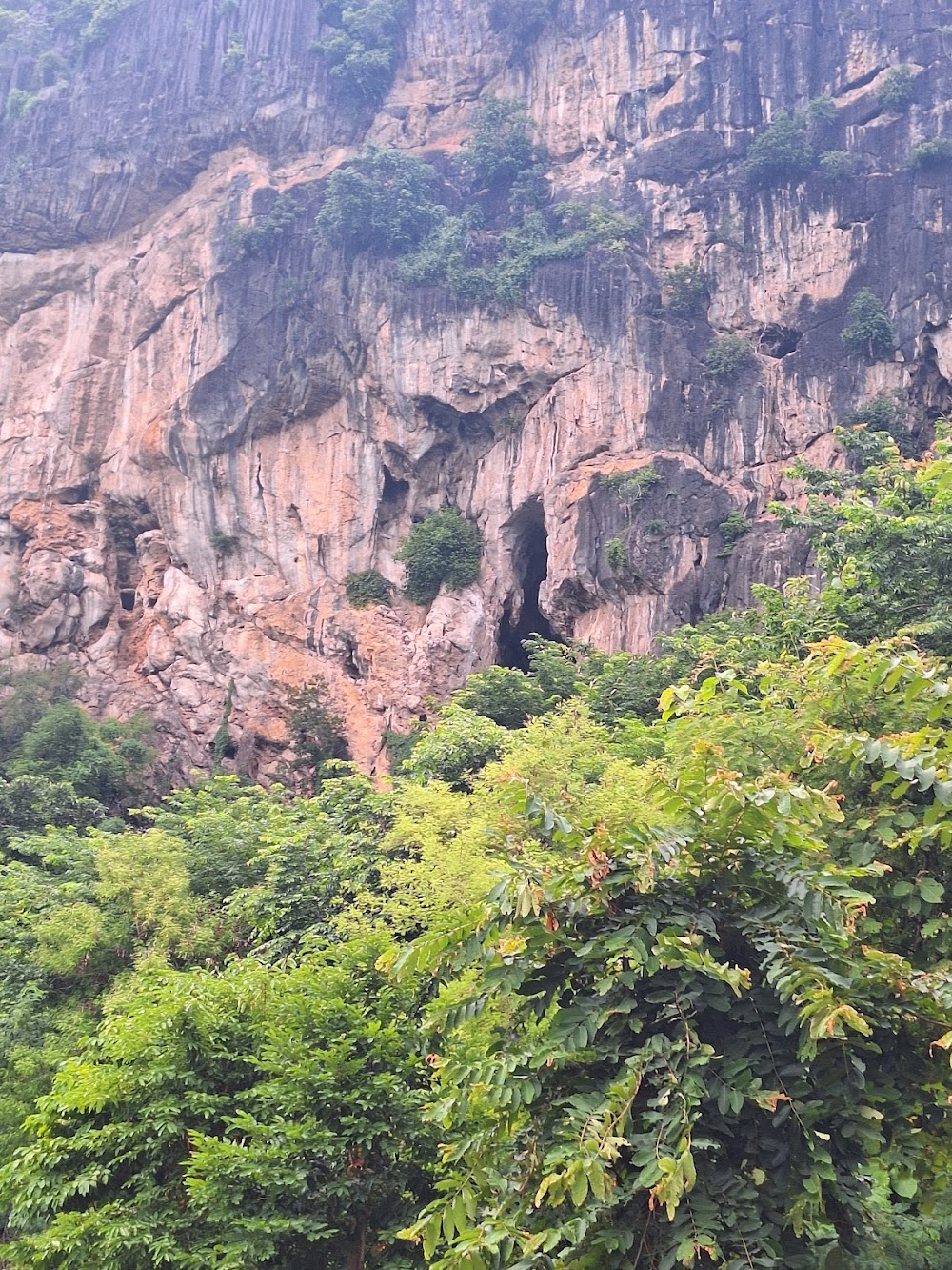 Phu Pha Man Bats Cave