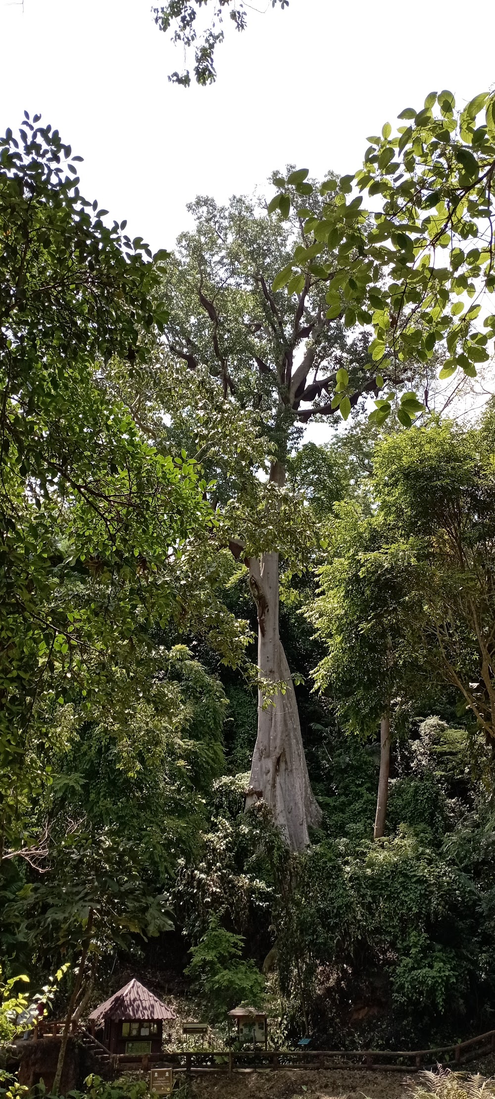 Phu Sang National Park