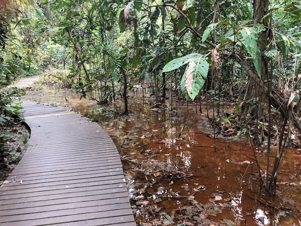 Phu Sang National Park