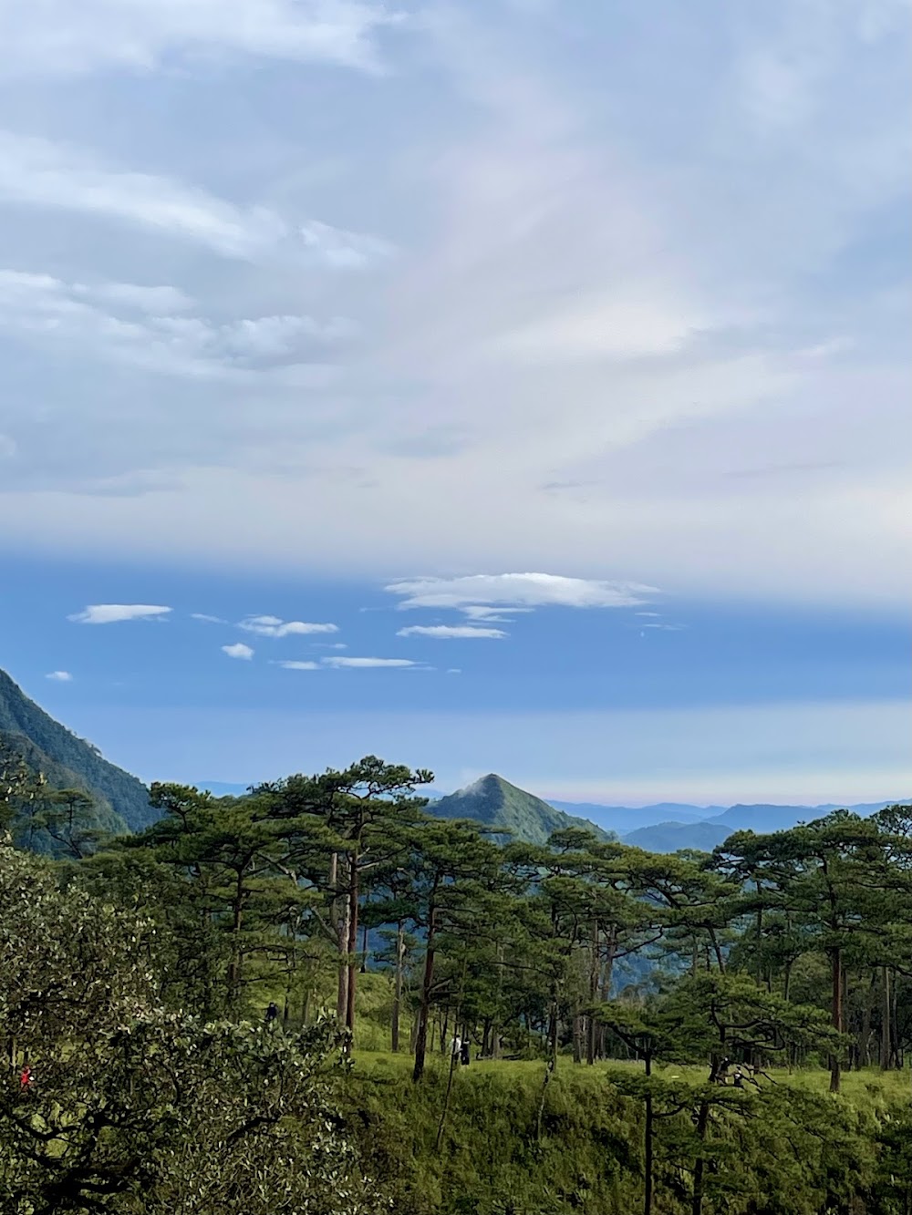 Phu Soi Dao National Park