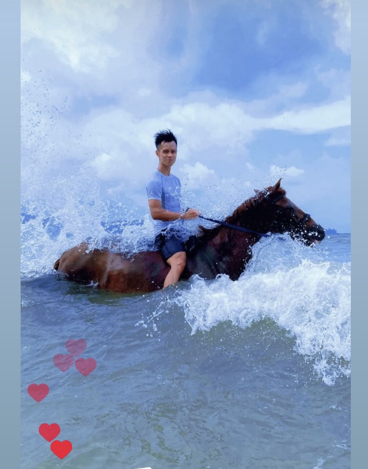 Phuket International Horse Club