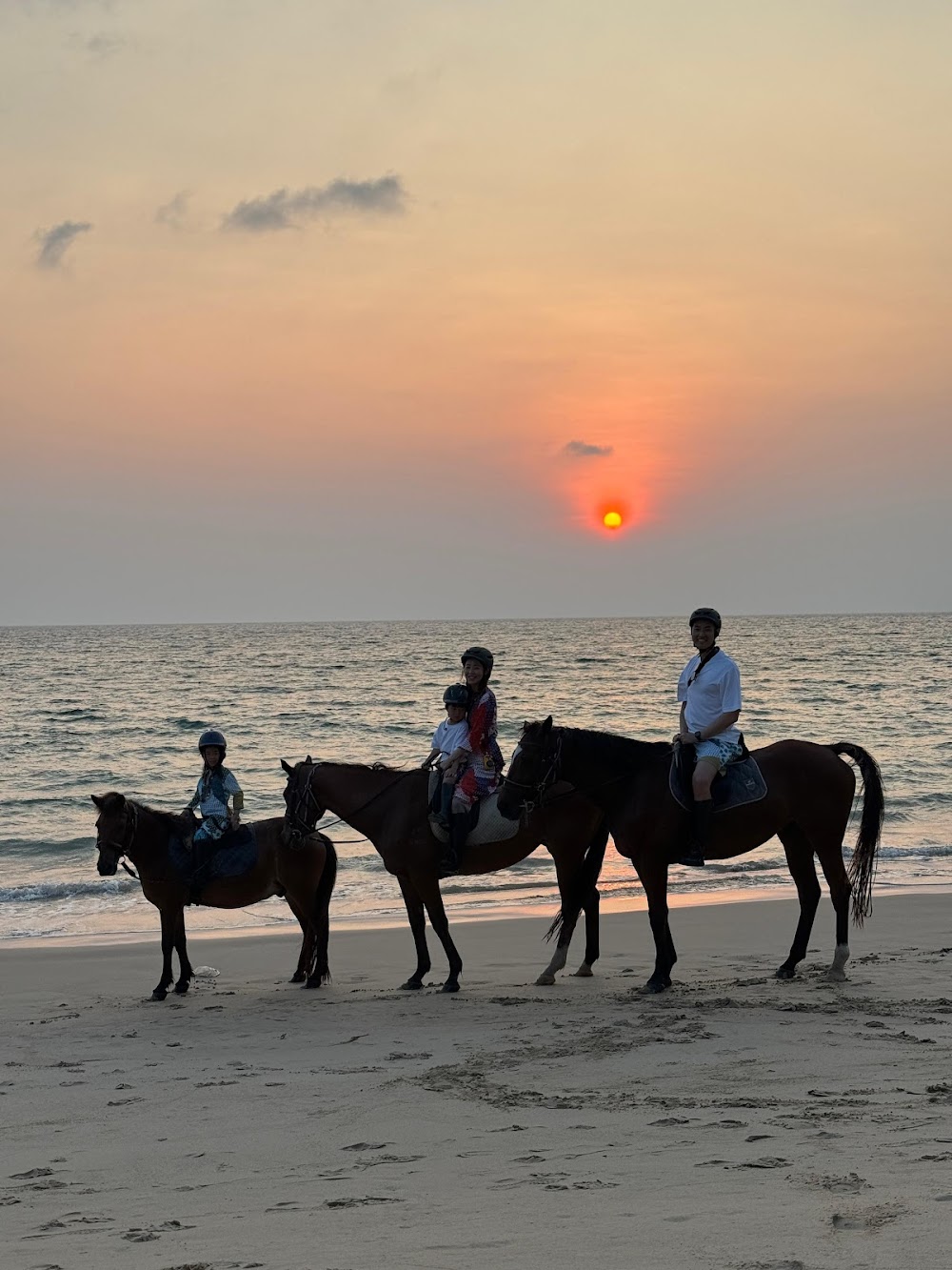Phuket International Horse Club