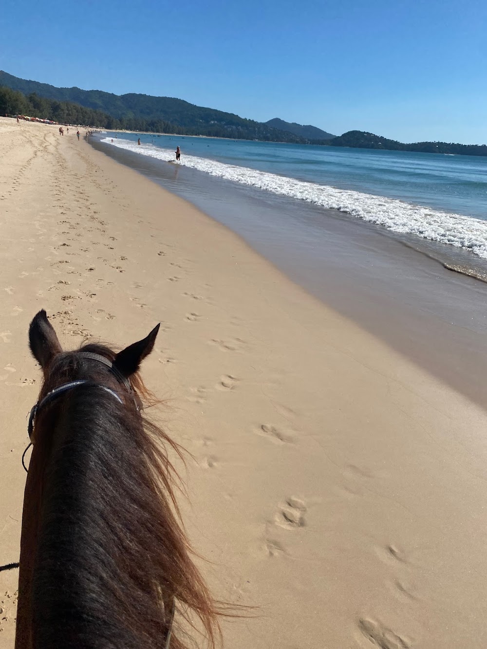 Phuket International Horse Club