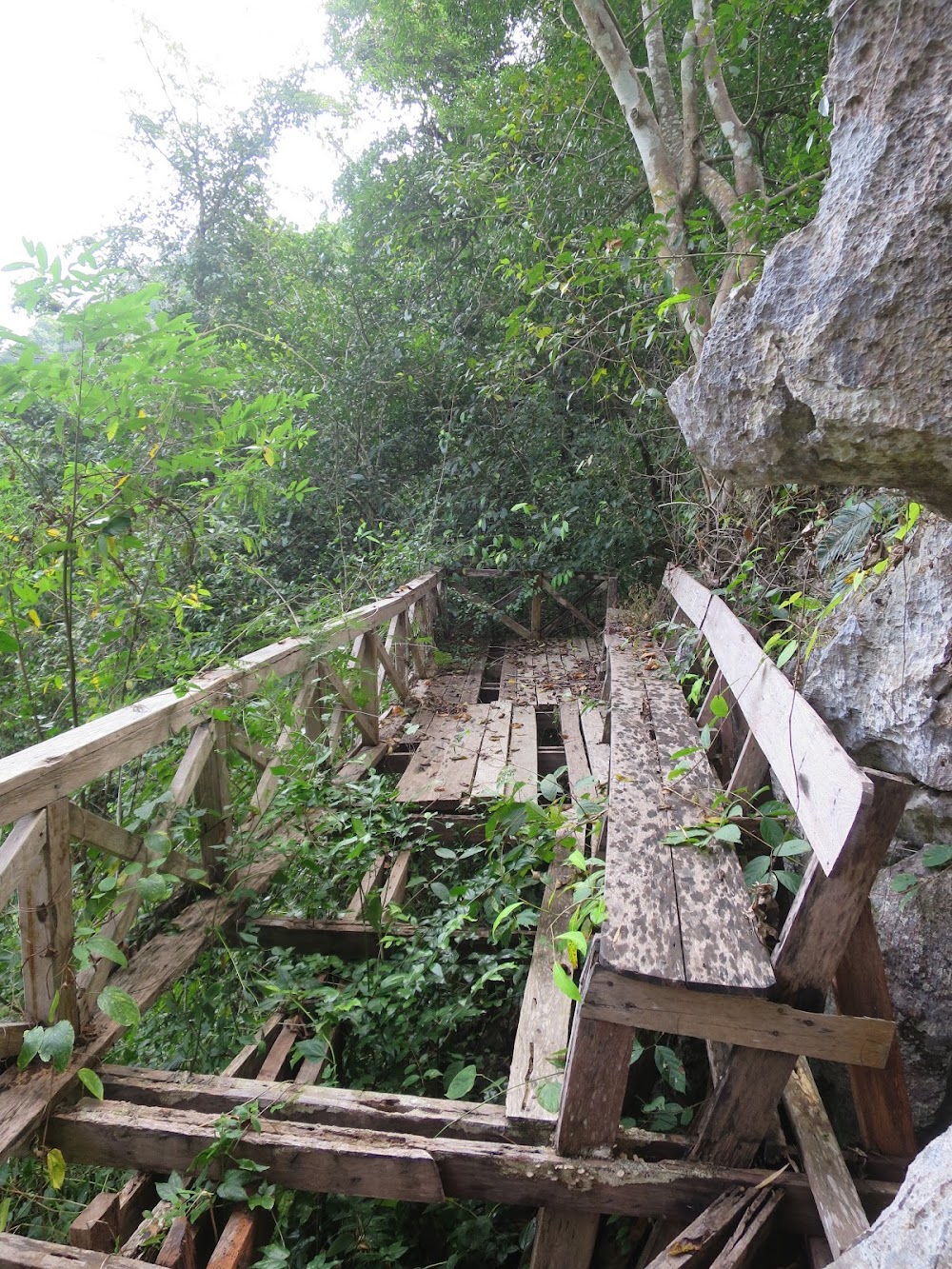 Phupha Lom Forest Park