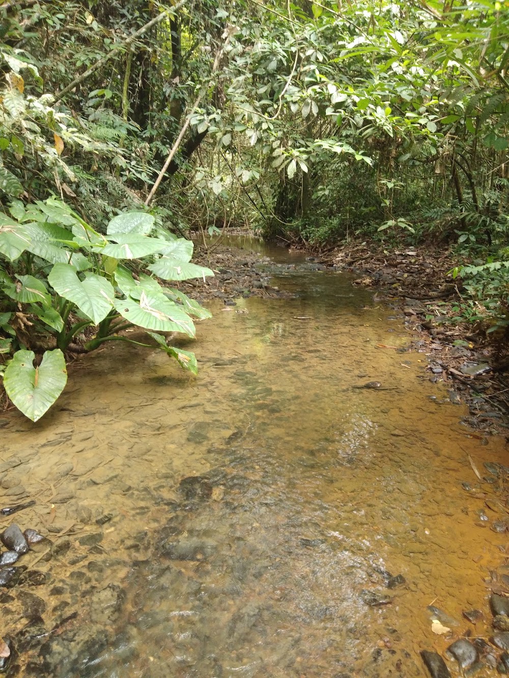 Raman Waterfall Forest Park