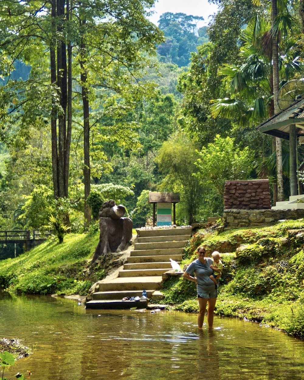 Raman Waterfall Forest Park