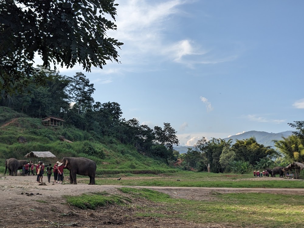 Ran-Tong Save & Rescue Elephant Centre