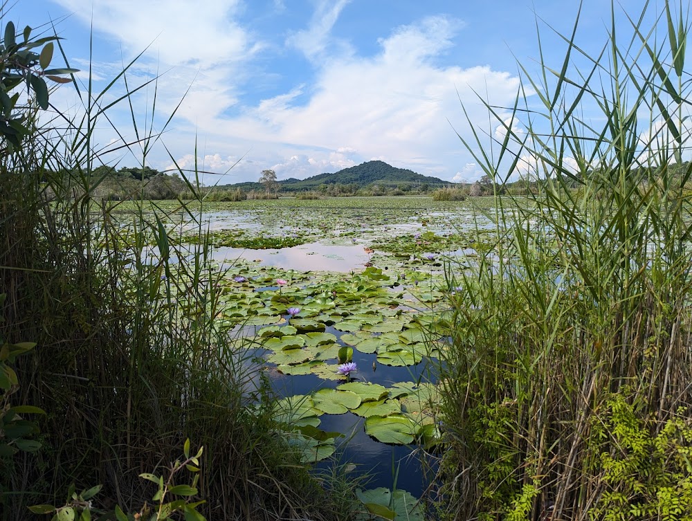 Rayong Botanical Garden