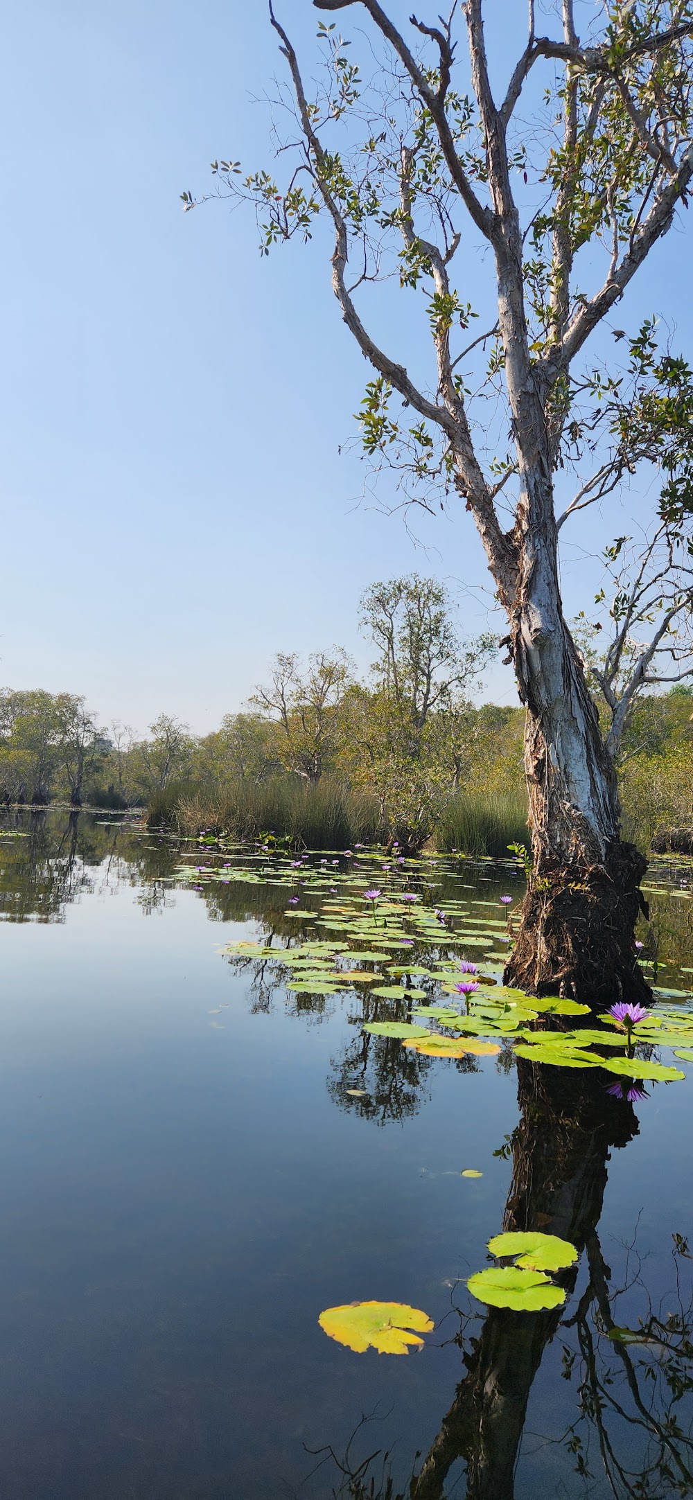 Rayong Botanical Garden