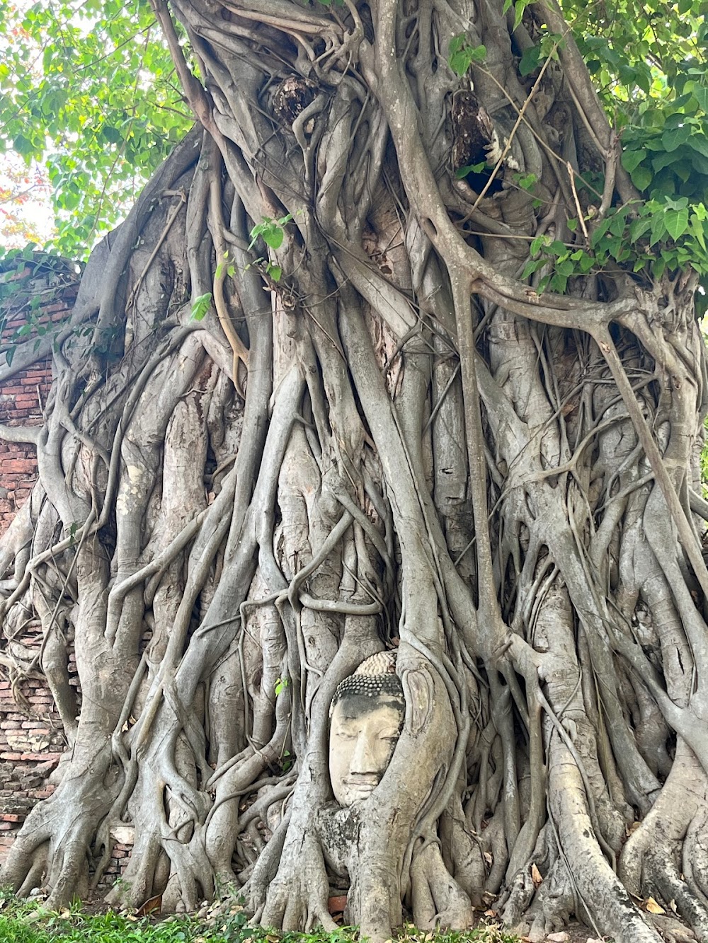 Recreational Ayutthaya Biking