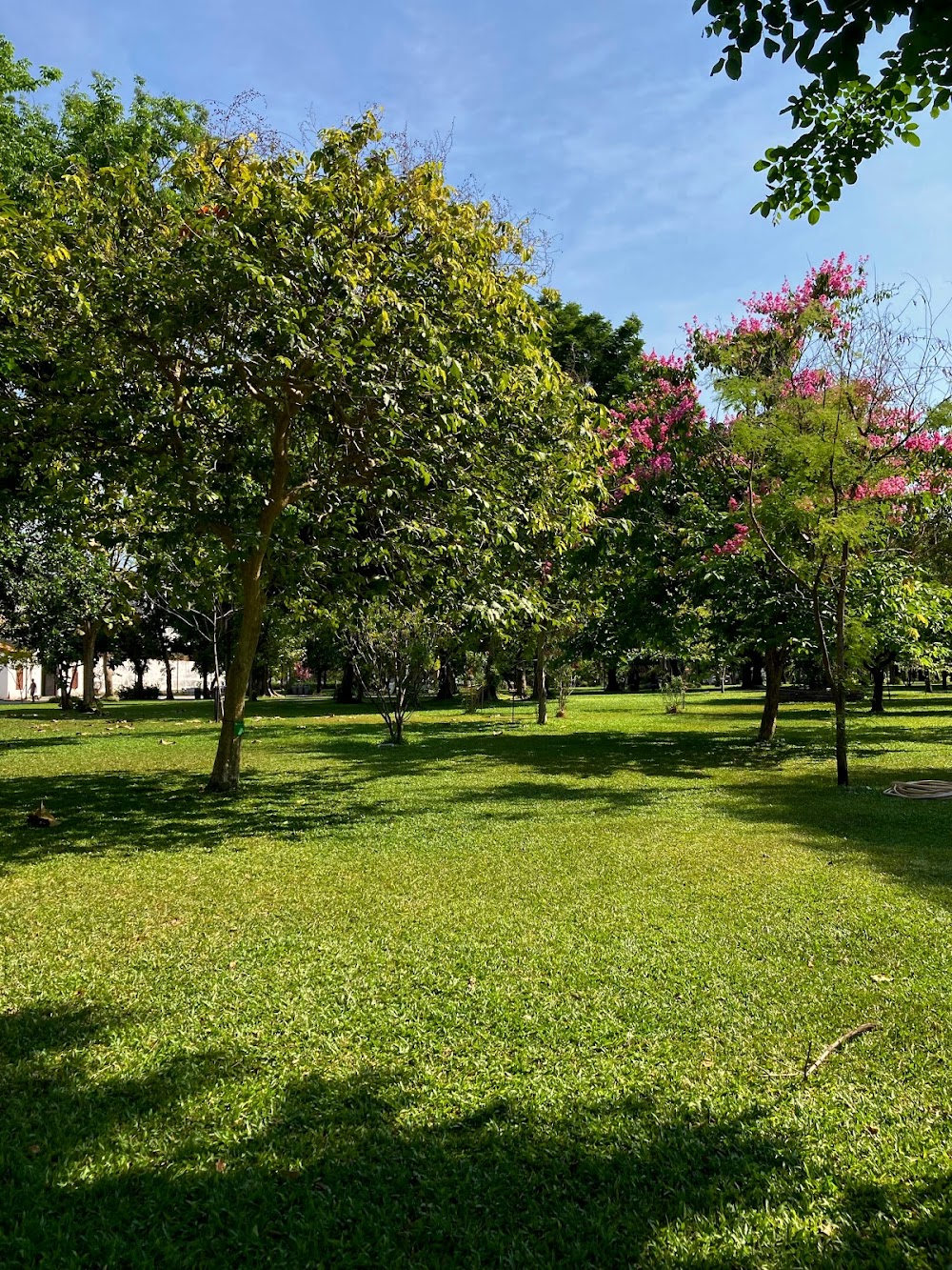 Romaneenart Park