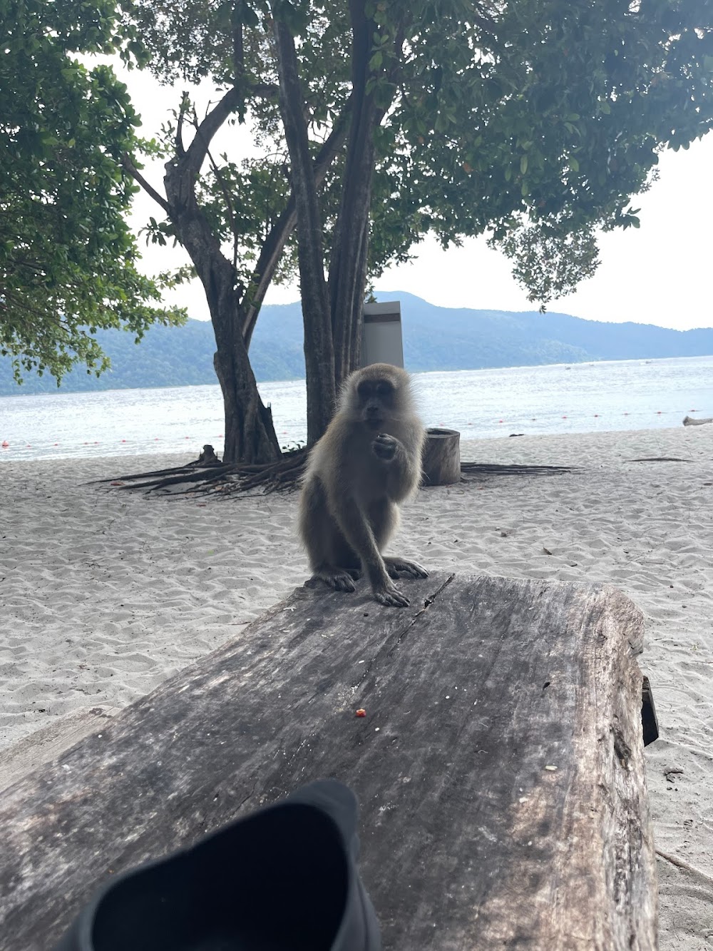 Sai Khao Beach