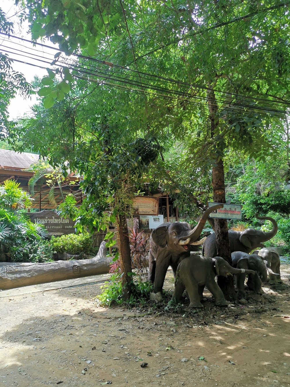 Saiyok Elephant Park