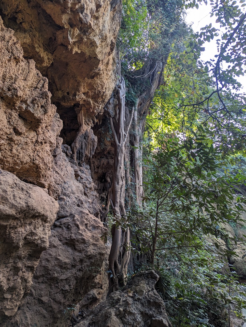 Sap Chomphu Arboretum