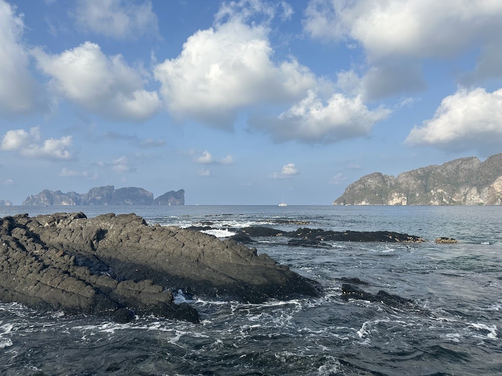 Shark Point