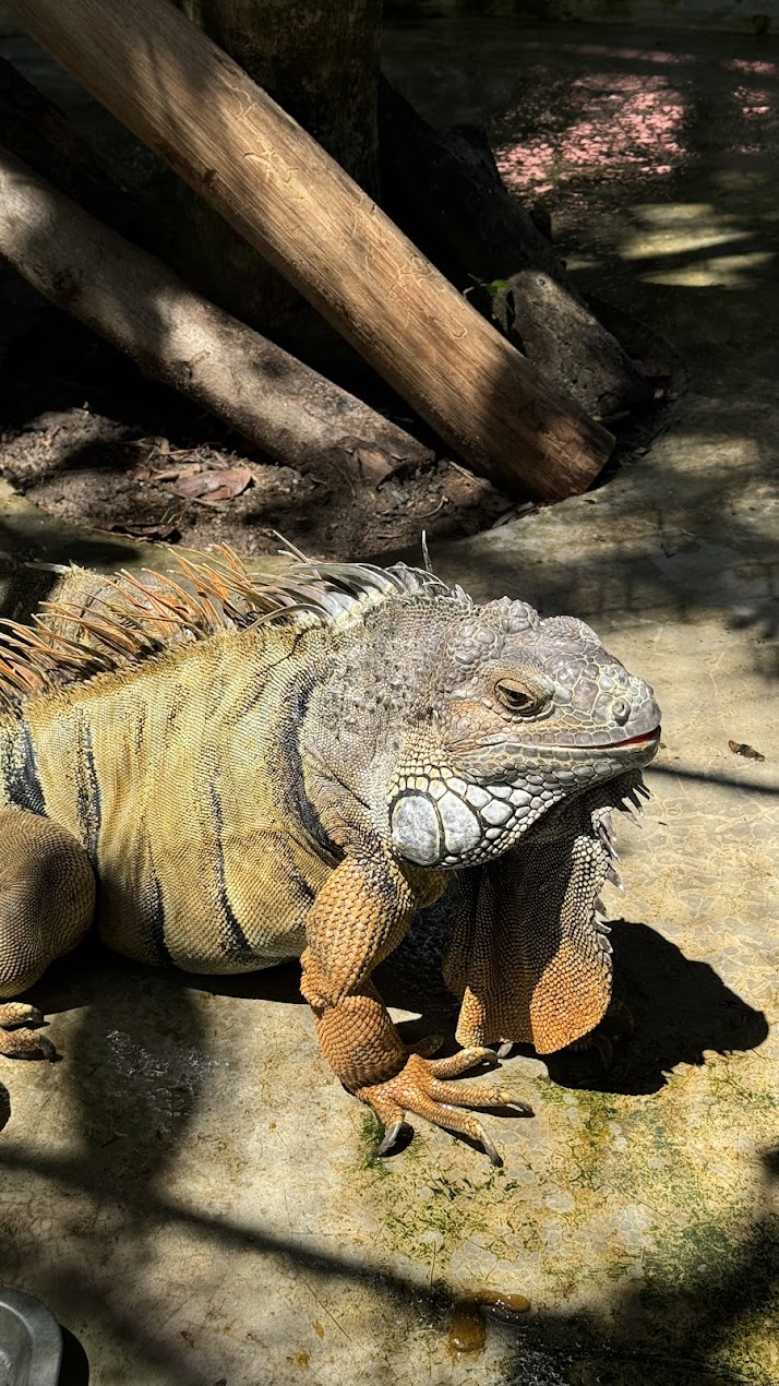 Siam Insect Zoo