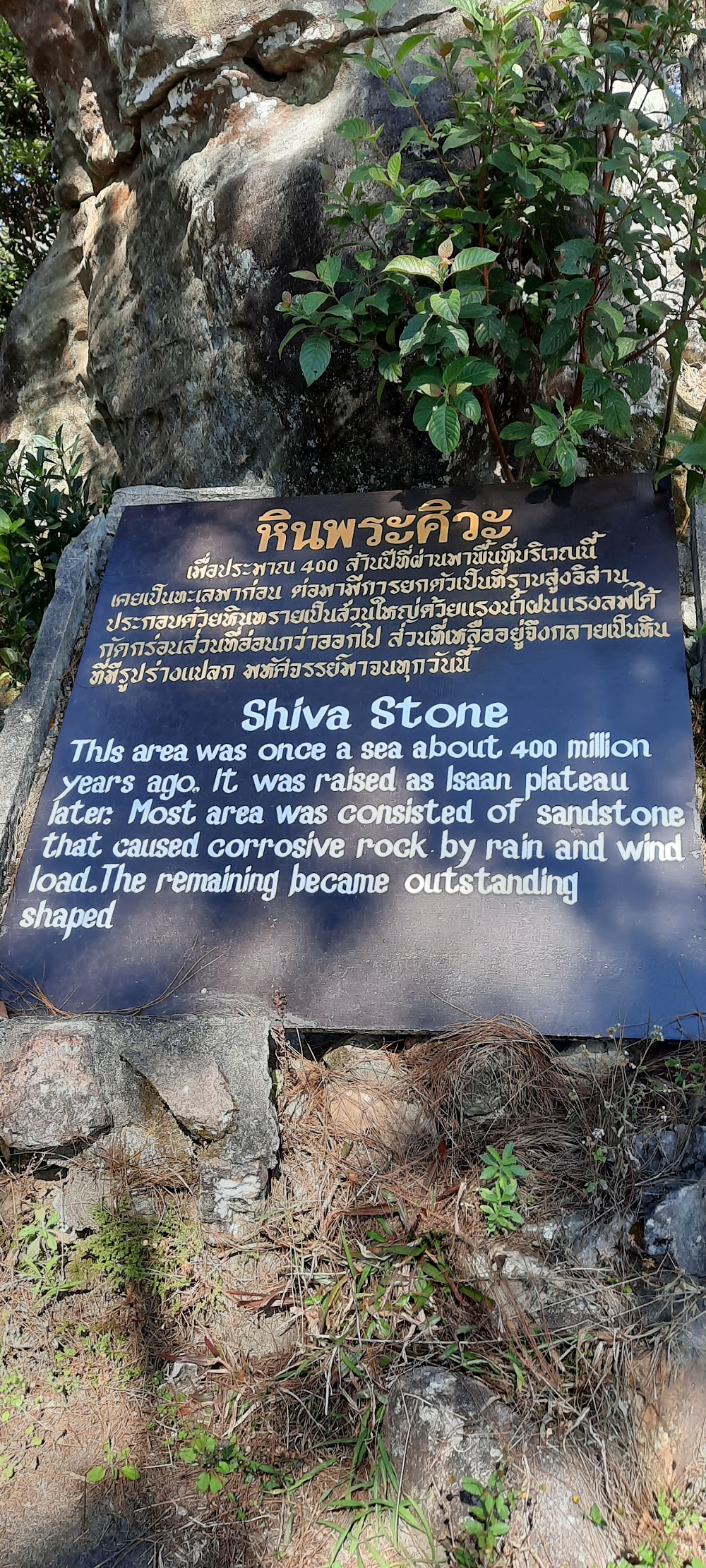 Siam Phu Ruea Orange Farm