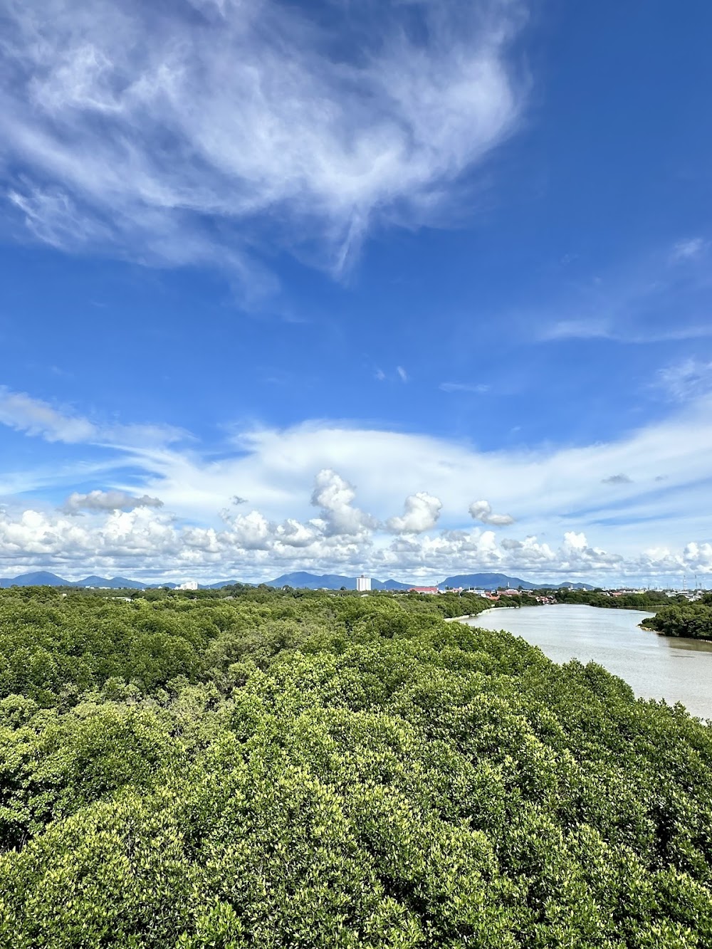 Sky Tower View Point