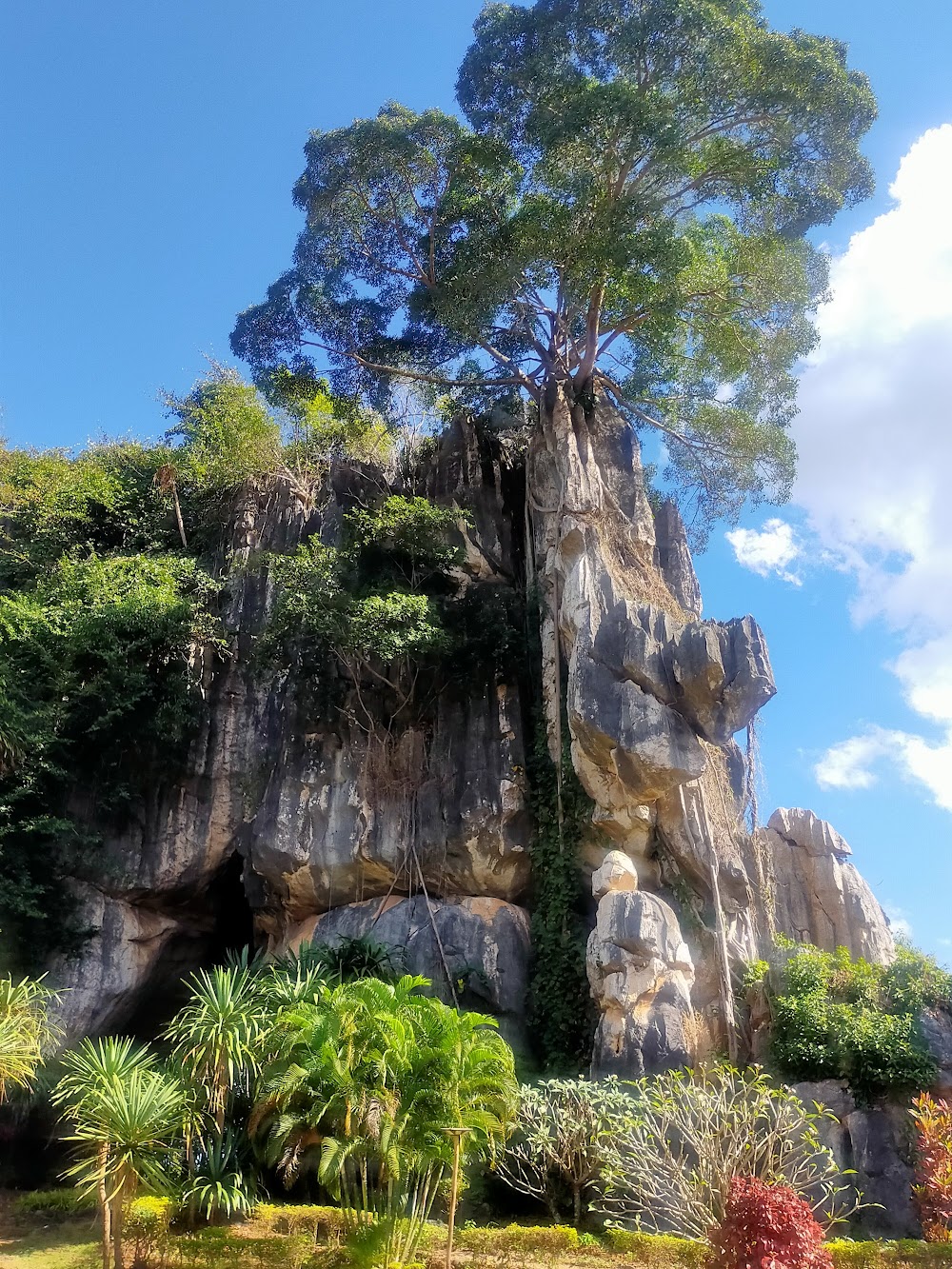 Suan Hin Pha Ngam
