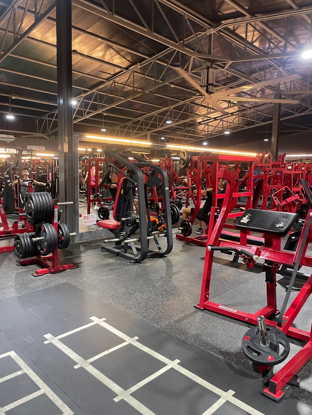Success Gym
