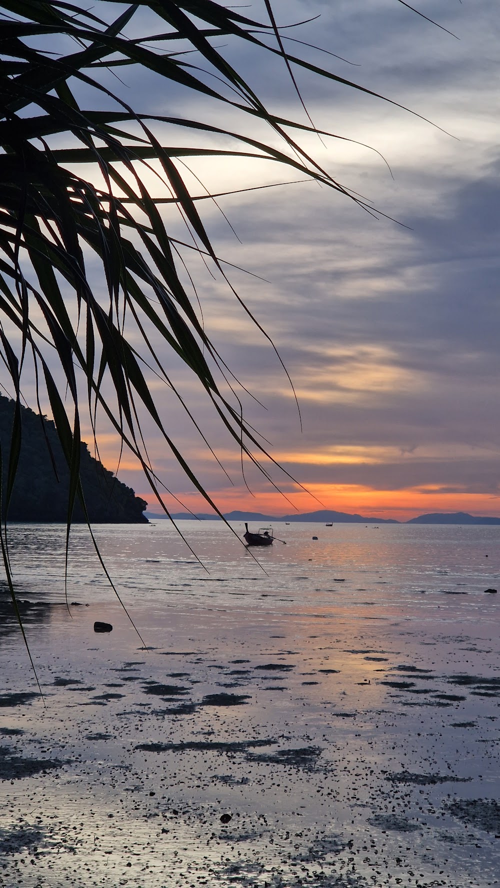 Sunflower Beach Bar