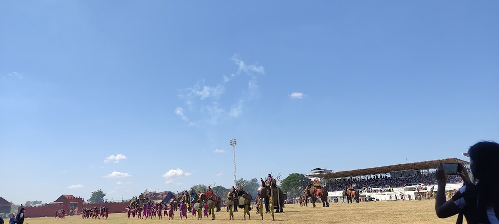 Surin Elephant Round-up