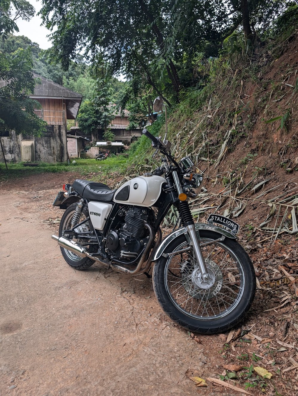 TBR Toon’s Bike Rental and Tours