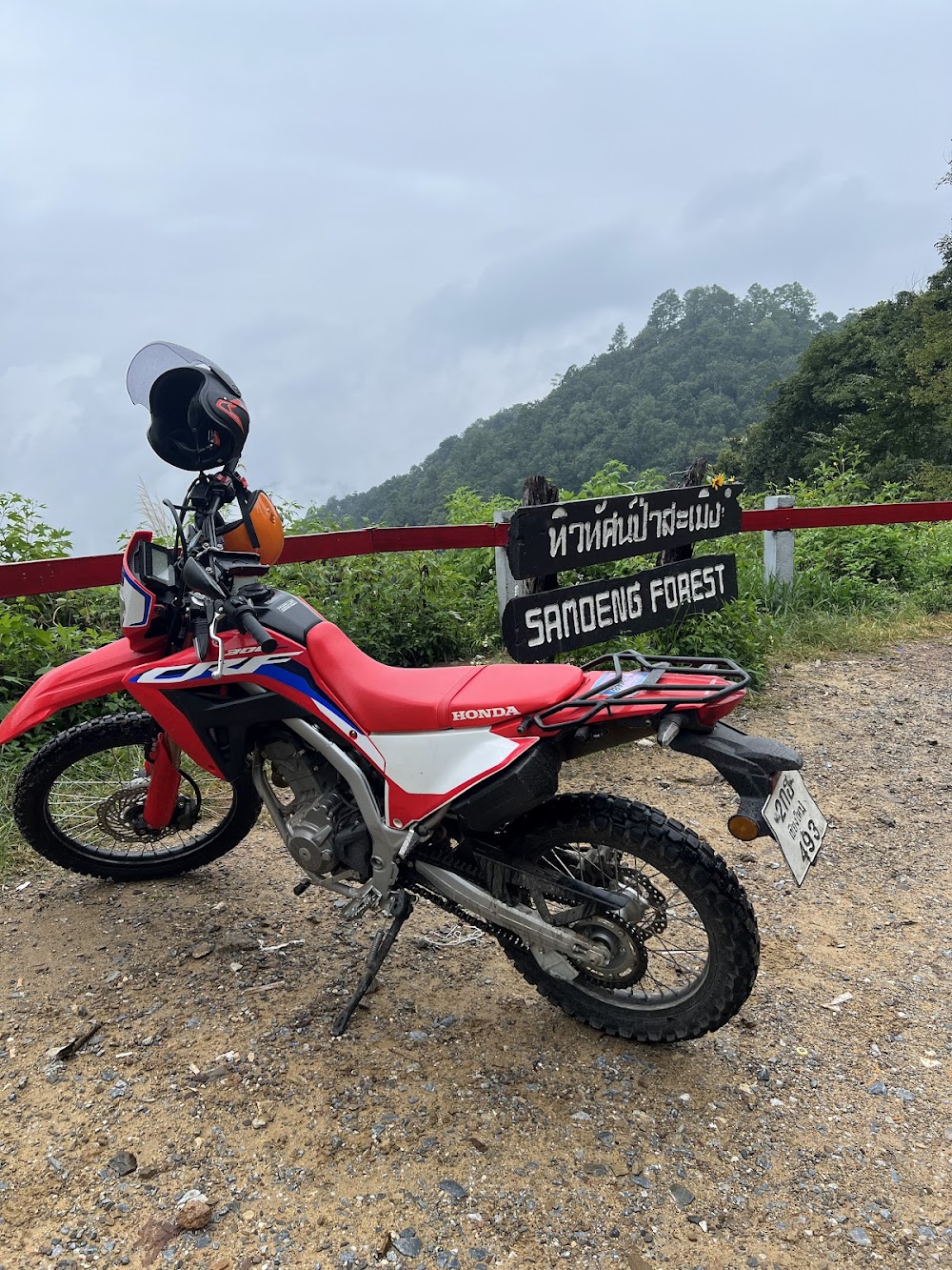 TBR Toon’s Bike Rental and Tours