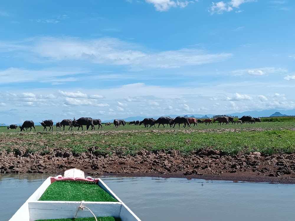 Thale Noi Waterbird Park